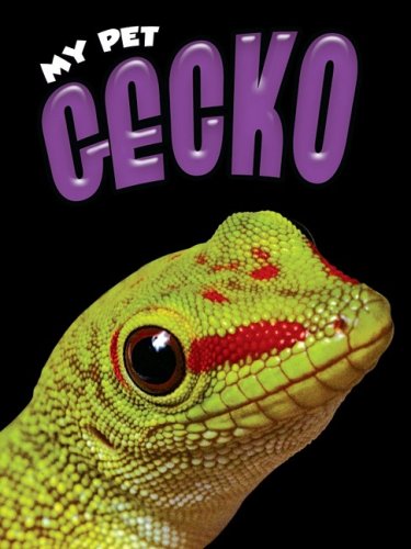 Gecko by Rennay Craats