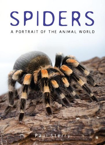 Spiders: A Portrait of the Animal World by Paul Sterry