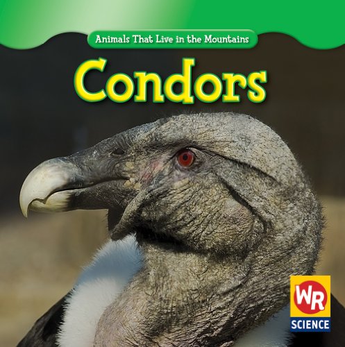 Condors by JoAnn Early Macken