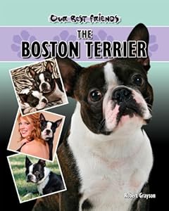 Boston Terrier (Our Best Friends)
