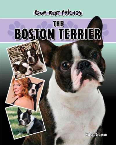 Boston Terrier (Our Best Friends) by Robert Grayson