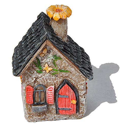 Algopix Similar Product 10 - Miniature Fairy Garden Itty Bitty