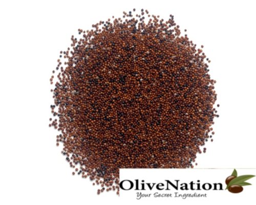 Kaniwa 1 lb by OliveNation