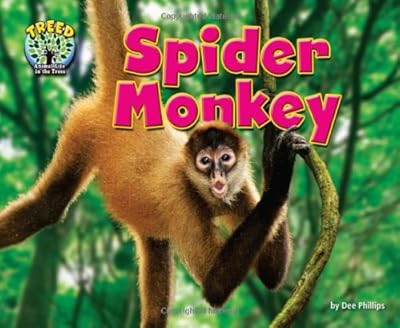 Spider Monkey