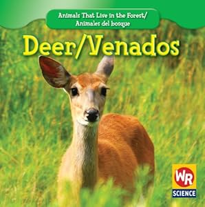 Deer/Venados