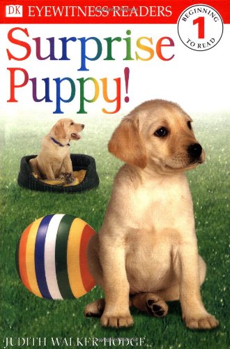 DK Readers: Surprise Puppy (Level 1: Beginning to Read) by DK Publishing
