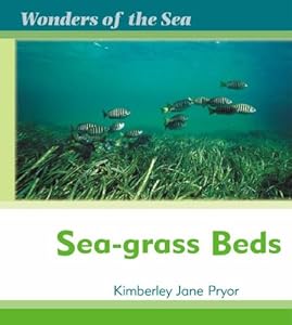 Sea-Grass Beds (Wonders of the Sea)