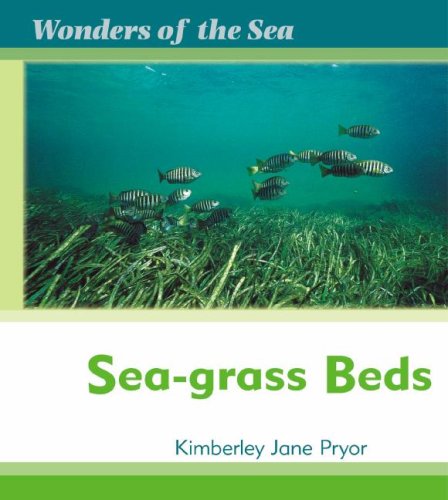 Sea-Grass Beds (Wonders of the Sea) by Kimberley Jane Pryor