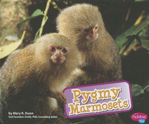 Pygmy Marmosets by Mary R. Dunn