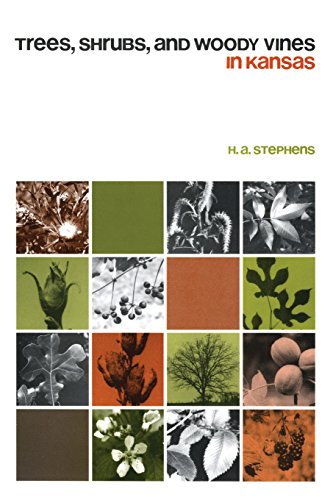 Trees, Shrubs, and Woody Vines in Kansas by by H. A. Stephens