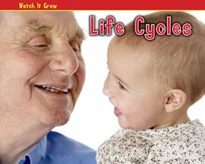 Life Cycles
