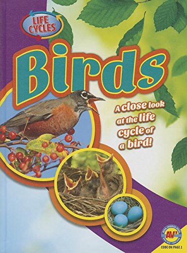 Birds by Steve Goldsworthy