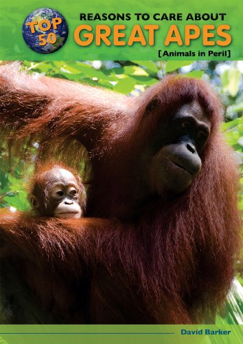 Top 50 Reasons to Care About Great Apes: Animals in Peril by David Barker