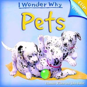 Flip The Flaps: Pets by Hannah Wilson