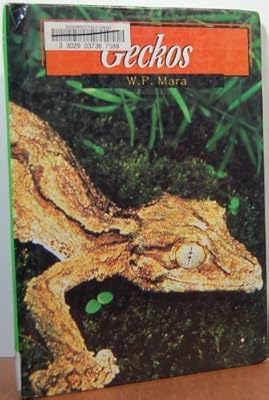 Geckos (Lizards (Capstone))