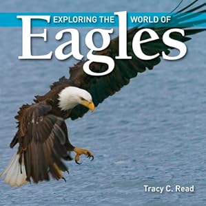 Exploring the World Of Eagles by Tracy Read