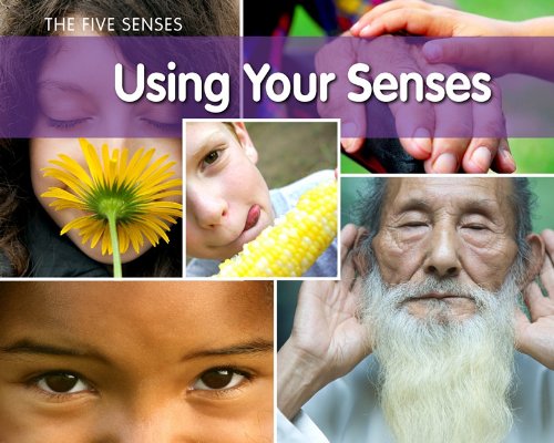Using Your Senses (Five Senses (Heinemann Paperback)) by Rebecca Rissman