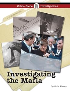 Investigating the mafia
