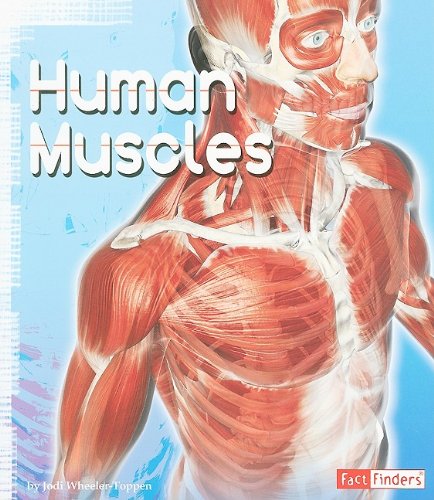 Human Muscles by PhD. , Jodi Wheeler-Toppen