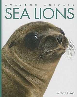 Sea Lions