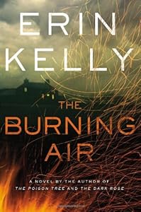 The Burning Air: A Novel