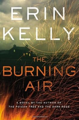 The Burning Air: A Novel