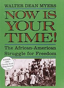Now Is Your Time!: The African-american Struggle for Freedom