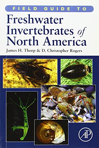 Field Guide to Freshwater Invertebrates of North America by James H. Thorp