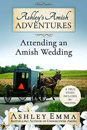 Algopix Similar Product 19 - Ashleys Amish Adventures Attending an