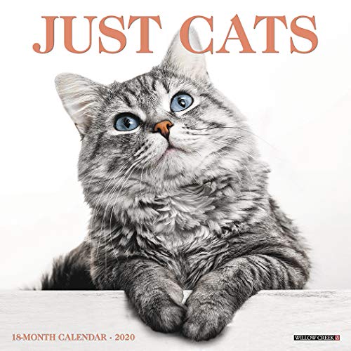 Algopix Similar Product 3 - Just Cats 2020 Wall Calendar