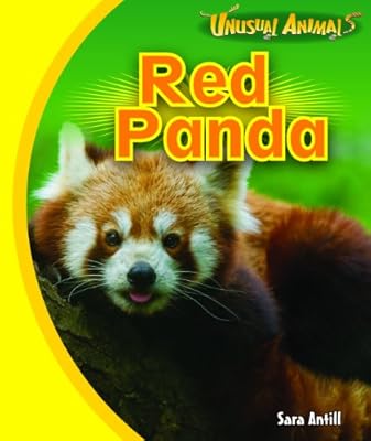 Red Panda (Unusual Animals)