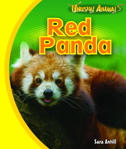 Red Panda (Unusual Animals) by Sara Antill