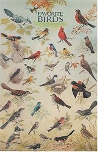 Favorite Birds Poster