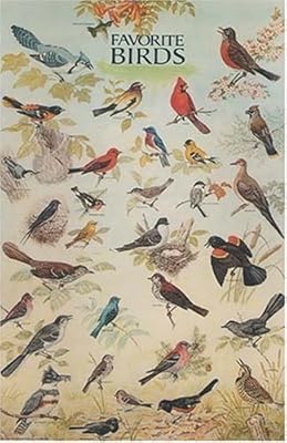 Favorite Birds Poster