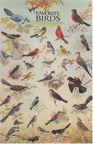 Favorite Birds Poster by Dover