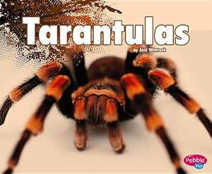 Tarantulas by Jeni Wittrock