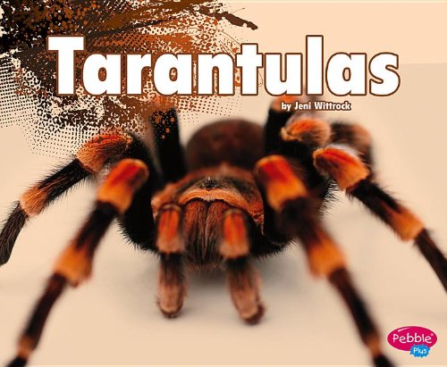 Tarantulas by Jeni Wittrock