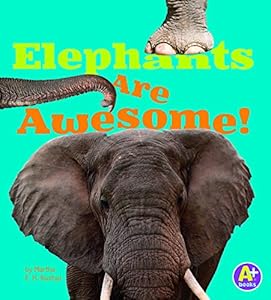 Elephants Are Awesome!