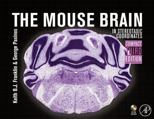 The Mouse Brain in Stereotaxic Coordinates, Compact, Third Edition: The coronal plates and diagrams by by Keith B.J. Franklin