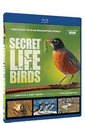 Secret Life of Birds - Blu-ray