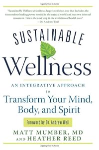 Sustainable Wellness: An Integrative Approach to Transform Your Mind, Body, and Spirit by Matt Mumber  ,
