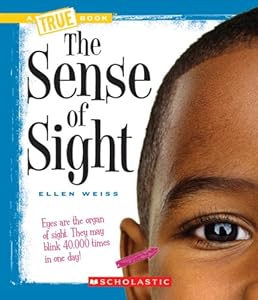 The Sense of Sight by Ellen Weiss