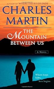 The Mountain Between Us: A Novel