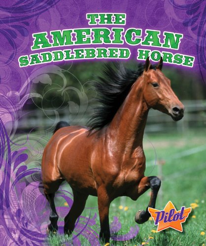 The American Saddlebred Horse by Rachel Grack