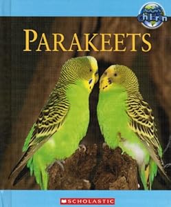 parakeets (second series)