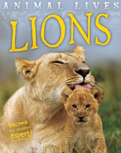 Lions by SALLY MORGAN