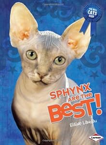 Sphynx Are the Best!