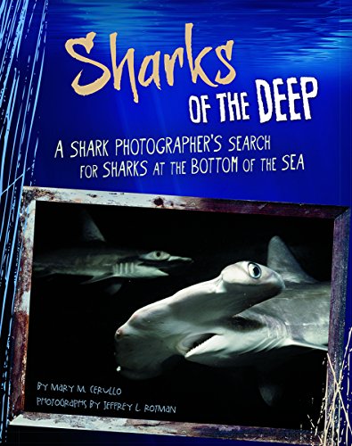 Sharks of the Deep: A Shark Photographer's Search for Sharks at the Bottom of the Sea by Mary M Cerullo
