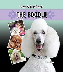 The Poodle