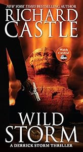Wild Storm: A Derrick Storm Thriller